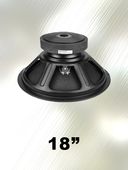 Speaker