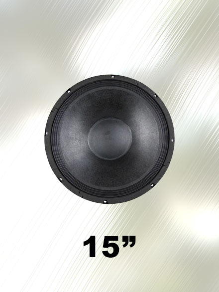 Speaker