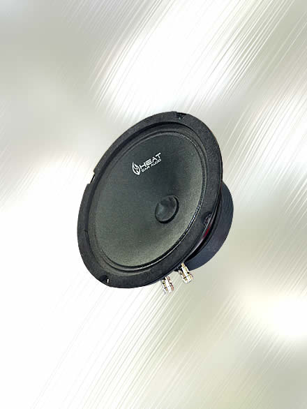 Speaker