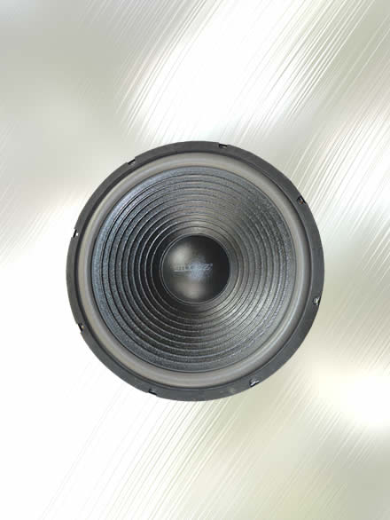 Speaker